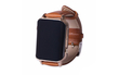 Умные часы с gps трекером Smart Watch Wonlex EW200 коричневые - Умные часы с GPS Wonlex - Wonlex EW200 - Магазин часов с gps Wonlex
